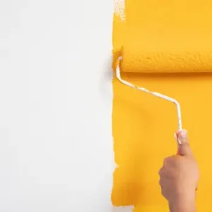 Paint & Painting Supplies